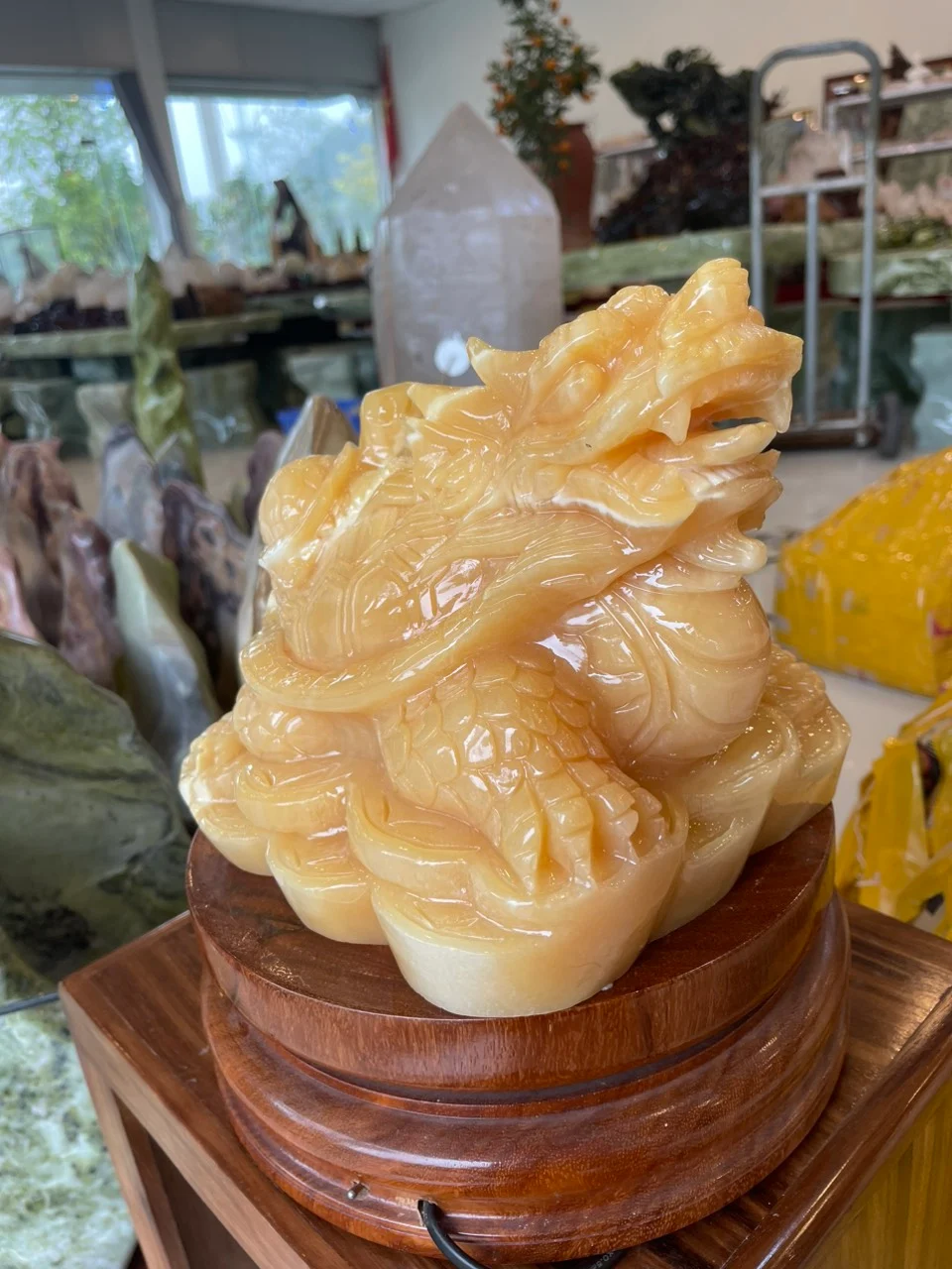 LONG QUY ĐÁ VÀNG - Ảnh 4